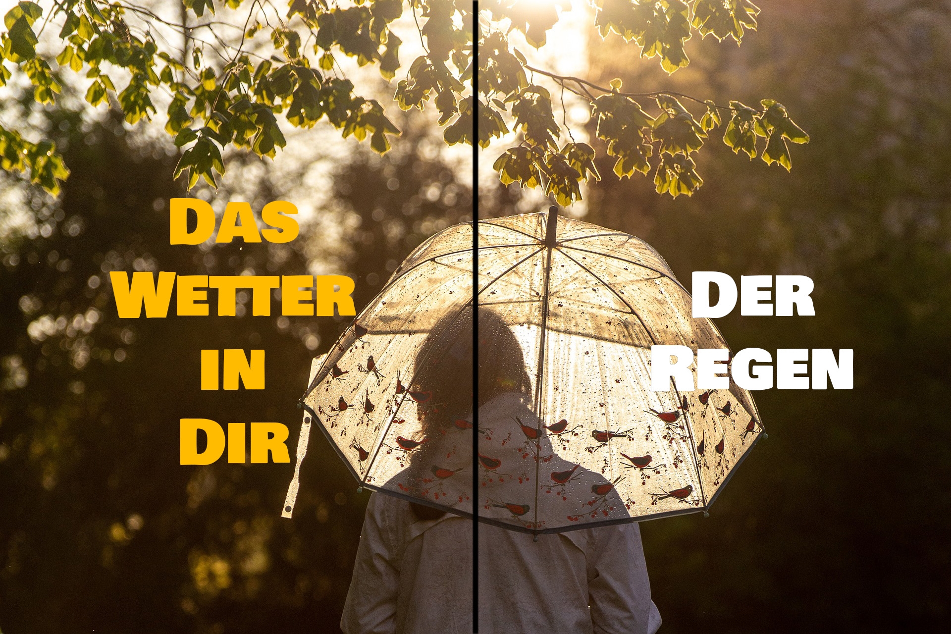 Der Regen